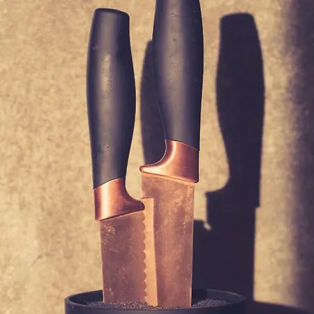 Aqua House Casa vacanze *